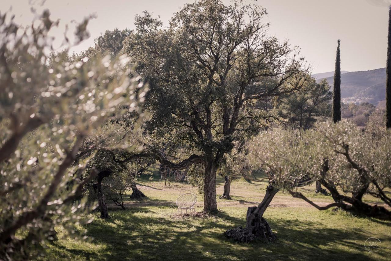 Les Hauts De Diane, Cuers Var ภายนอก รูปภาพ