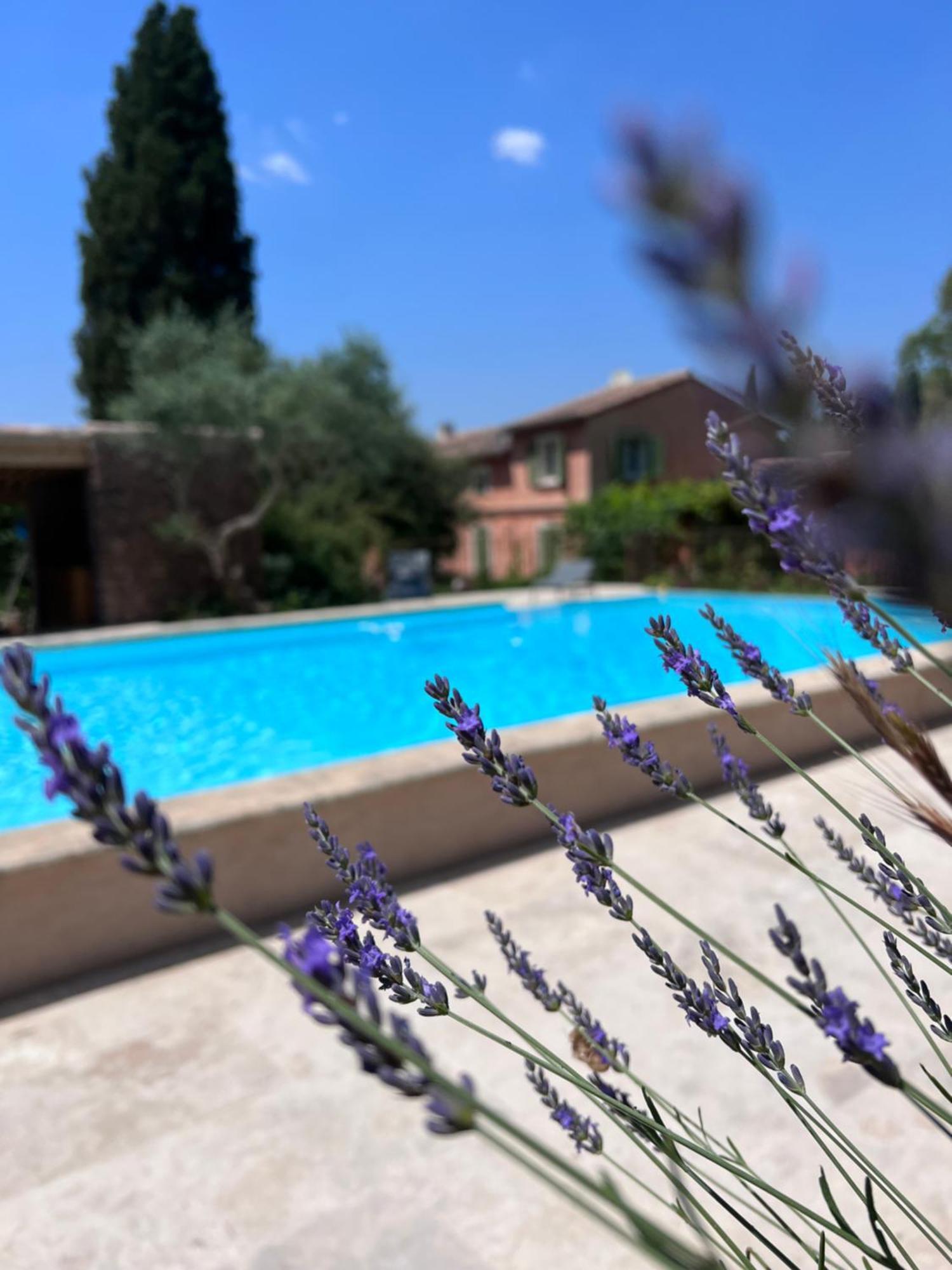 Les Hauts De Diane, Cuers Var ภายนอก รูปภาพ